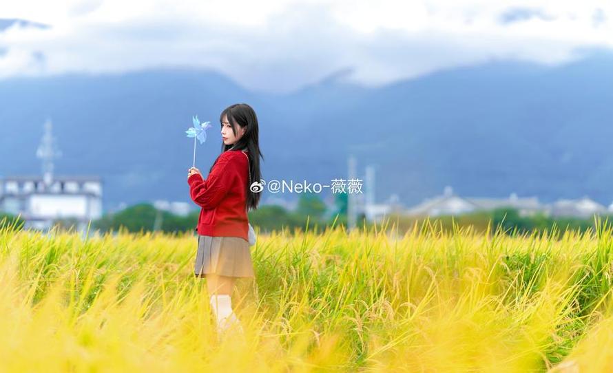 登录后，你就可以畅所欲言地评论黑料不打烊最新202了