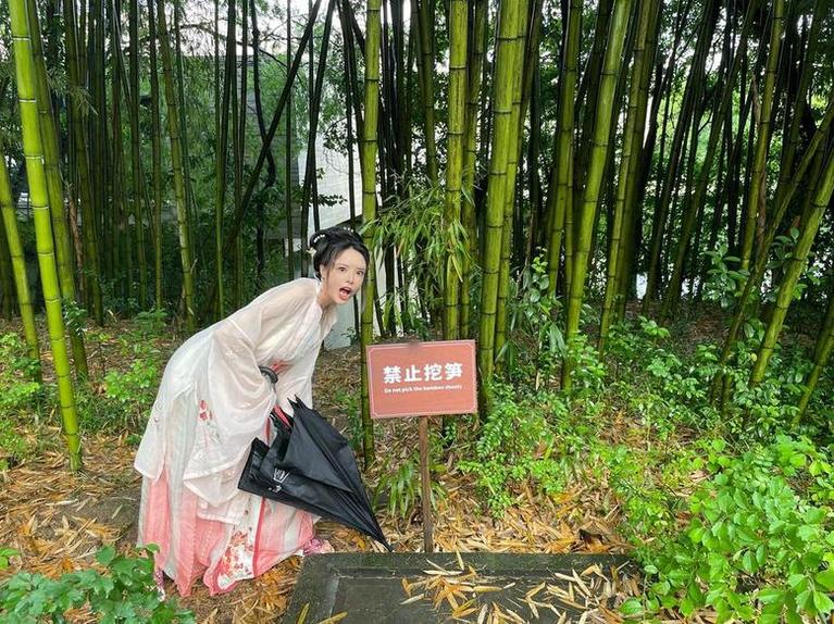 黑料不打烊官方群在线观看地址：直达导航入口